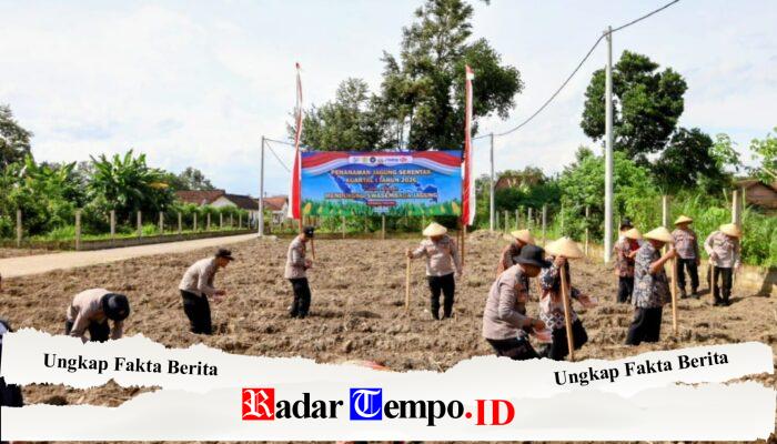 Polres Tulungagung Dukung Ketahanan Pangan, Tanam Jagung Serentak Kuartal I Tahun 2026
