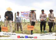 Polres Tegal Dukung Swasembada Pangan, Kapolres Pimpin Penanaman Jagung Serentak di Dukuhwaru