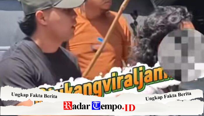 Tragedi Berdarah di Persawahan Sampang: Petani di Robatal Tewas Ditusuk, Pelaku Berhasil Diamankan Satreskrim Polres Sampang