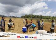 Dukung Swasembada Pangan, Babinsa Koramil 02/Sejangkung Dampingi Poktan Sungai Bening Tanam Benih Padi Lansung di Lokasi CSR