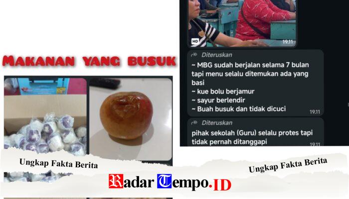 Pengelola MBG H.Widodo Diminta Klarifikasi Usai Dugaan Makanan Tak Layak di SDN 71 Pontianak