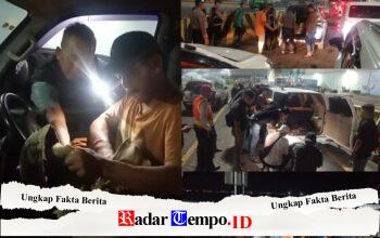 Detik-detik H Min Dua Idul Fitri, Satuan Satreskoba KP3 Gencarkan Operasi Sasar Terminal Kapal Gapura Surya Nusantara