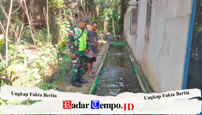 Babinsa Koramil 06/Selakau Komsos Bersama Peternak Ikan di Desa Binaan