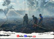 Aksi Cepat Babinsa dan Tim Gabungan Padamkan Kebakaran Lahan 1,5 Hektare di Kelua