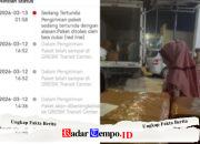 VIRAL! Rokok Ilegal Dipaketkan Ekspedisi J&T Dinaikkan ke Truk Boxs Pengiriman
