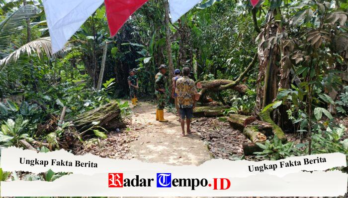 Sigap! Satgas Jembatan Garuda Bersihkan Pohon Tumbang yang Halangi Distribusi Material