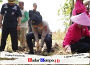 Polres Bojonegoro Sulap Lahan Kosong Jadi Kebun Jagung Wujudkan Swasembada Pangan