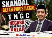 Skandal Getah Pinus Ilegal di TNGC: Negara Tidak Boleh Kalah