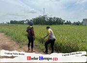 Dukung Ketahanan Pangan, Bhabinkamtibmas Cek Pengolahan Sawah di Gadabung