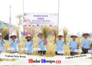 Sinergi Muspida Kota Blitar dalam Panen Raya, Wujudkan Kemandirian Pangan Daerah