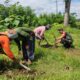 Kepedulian Lingkungan, Babinsa Kedung Banteng Ajak Warga Lestarikan Alam