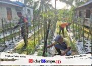 TNI Bersama Rakyat, Babinsa Koramil 1002-07 Bantu Warga Rawat Cabe