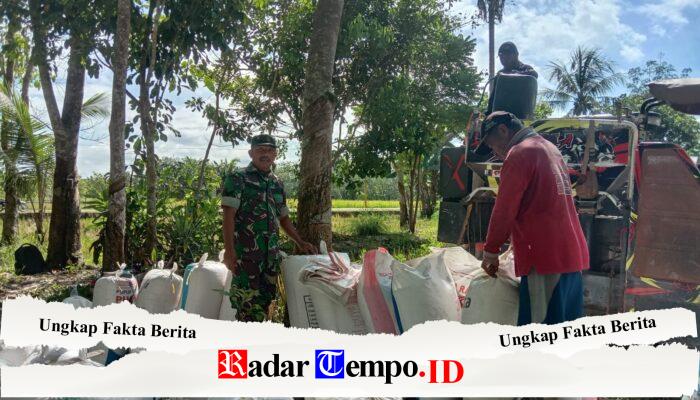 Sertu Solikin Hadir di Tengah Petani, Dukung Ketahanan Pangan dan Kesejahteraan Warga