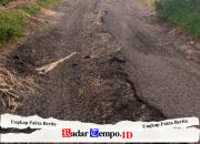 Jalan Penghubung Karang Jatianyar–Wonorejo Rusak Parah, Warga Khawatir Keselamatan Terancam