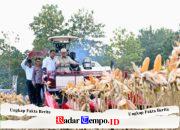 Perkuat Ketahanan Pangan Nasional, Presiden Prabowo Turun Langsung Panen Jagung di Tuban