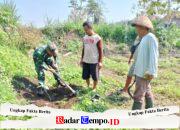 Tanam Pohon Mahoni Babinsa Sananwetan Bersama Poktan Rahayu, Cegah Erosi Dan Dukung Ketahanan Pangan