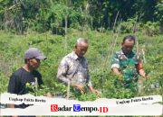 Kepala Desa Apresiasi Pendampingan Babinsa terhadap Petani Hortikultura