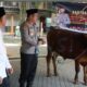 Kapolres Jombang Serahkan Sapi Kurban dari Kapolda Jatim untuk Dua Ponpes