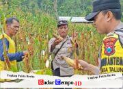 Polres Ponorogo Sahabat Petani, Dampingi Warga Wujudkan Swasembada Pangan