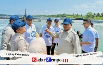 Dari Kebumen, Udang Menjadi Kekuatan Baru Pertumbuhan Ekonomi Indonesia