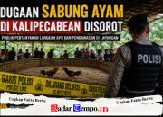 Dugaan Sabung Ayam di Candi Jadi Sorotan, Warga Tagih Transparansi Hasil Pengecekan Aparat