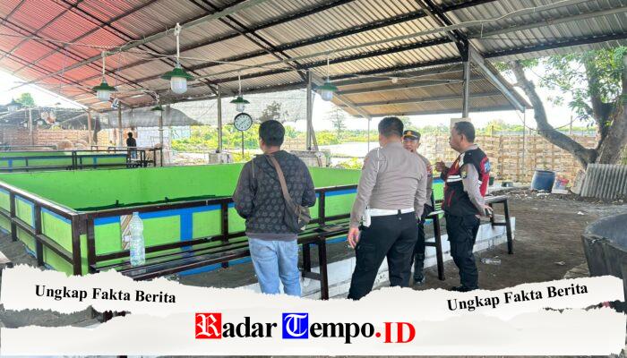 Sudah Ditertibkan, Tapi Mana Pelakunya? Dugaan Sabung Ayam di Kalipecabean Sisakan Tanda Tanya