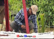 Kembali Datangkan Tenaga Ahli, Menara Pylon yang Sebelumnya Didatangkan Langsung Didirikan