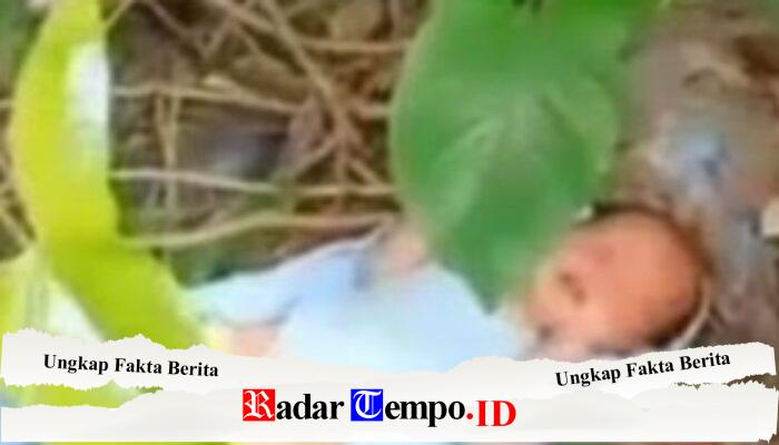 Orang Tua Biadab, Bayi Hidup Dibuang Paling-paling Dapat Hubungan Gelap Semoga Terbongkar Pelakunya