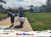 Kemanunggalan TNI dan Rakyat, Babinsa Bantu Warga Jemur Gabah di Kelurahan Pulau