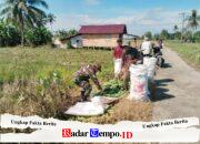 Babinsa Koramil 1002-04/Labuan Amas Selatan Bantu Petani Panen Mentimun, Wujud Nyata Pendampingan kepada Masyarakat