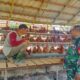 Melalui Pendampingan Babinsa, BUMDes Tunas Jaya Optimistis Kembangkan Usaha Peternakan Ayam Petelur