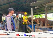 Bhabinkamtibmas Polsek Pakal Dukung Ketahanan Pangan dengan Sambangi Peternak Sapi di Kelurahan Pakal