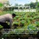 Polsek Nongkojajar Pantau Lahan Kubis Warga Program P2B