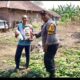 Polisi di Rembang Bantu Bibit Jagung dan Dampingi Petani Kelola Lahan