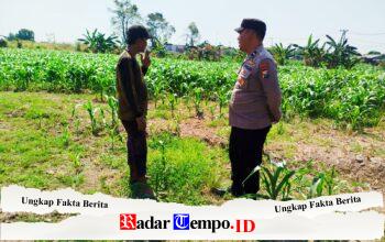 Bhabinkamtibmas Polsek Sukorejo Dorong Pemanfaatan Lahan Produktif untuk Dukung Ketahanan Pangan Nasional