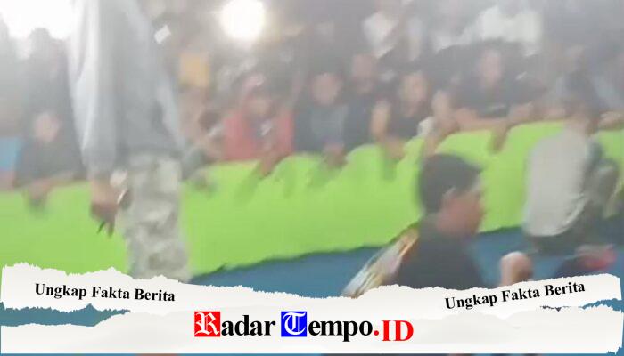 Warga Desa Klurak Sidoarjo Resah Kalangan Sabung Ayam dan Dadu Masih Beraktivitas;Bupati Dan Kapolres Sidoarjo Segera Menindak