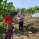 Hadapi Kemarau, Polres Pelabuhan Tanjungperak Siram Lahan Jagung Ketahanan Pangan