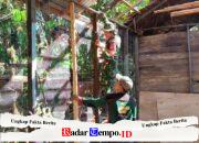 Pemasangan Kawat Perkuat Dinding RTLH, Satgas TMMD Ke-129 Tingkatkan Kualitas Bangunan