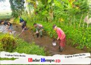 Bersatu dengan Alam, Serda Dwi Aprianto Bersama Warga Slorok Bersihkan Aliran Irigasi Sawah