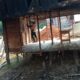 TMMD Imbangan Kodim 1002/HST Mulai Rehab Rumah Nenek Dana di Batang Alai Utara