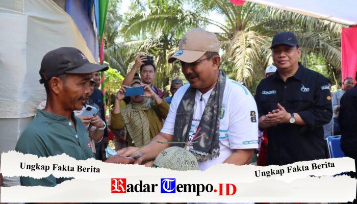 Bupati Drs H Anwar Sadat M.Ag dan wakil bupati Dr.H Katamso SA S.E,M.E hadir panen raya melon di agrowisata sektor holtikultura