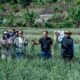 Satgas Pangan Polri Perkuat Swasembada Bawang Putih, Lahan Tanam di Sembalun Capai 534 Hektare