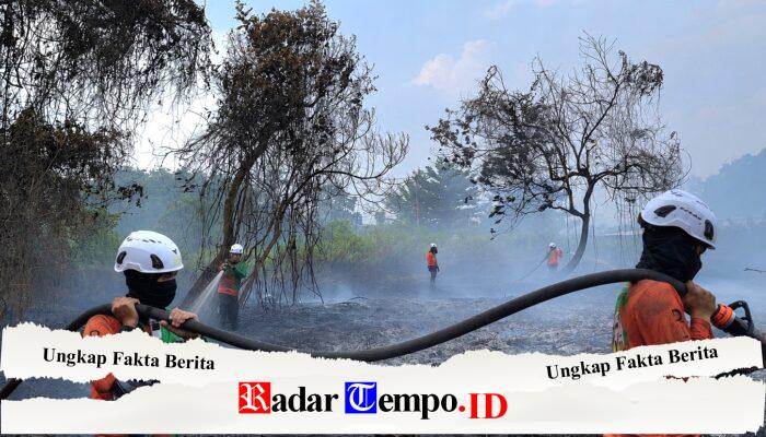 Tim SAR Ditsamapta Polda Kalbar Berhasil Kendalikan Karhutla di Kubu Raya, Api Sempat Mengarah ke Kantor Dinas