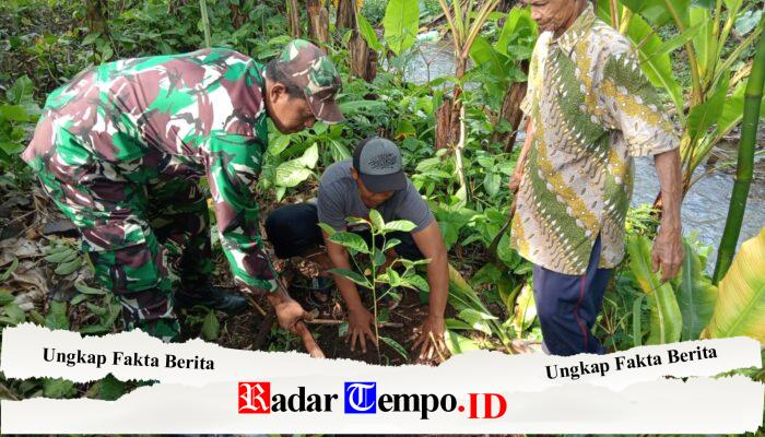 Lestarikan Lingkungan, Serda Budiono Bersama Poktan Sidodadi Tanam Pohon Melalui Aksi Bersatu Dengan Alam