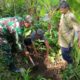 Lestarikan Lingkungan, Serda Budiono Bersama Poktan Sidodadi Tanam Pohon Melalui Aksi Bersatu Dengan Alam