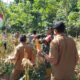 Danramil 1008-01/Muara Uya-Jaro Hadiri Panen Raya Jagung Kuartal III, Wujud Sinergi Dukung Ketahanan Pangan