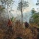 Tim Gabungan Polres Trenggalek Berhasil Evakuasi 4 Pendaki yang Terjebak Kebakaran di Gunung Orak arik