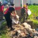 Polsek Palengaan Bersama TNI dan Pemuda Gotong Royong Bersihkan Lingkungan Desa Palengaan Daya