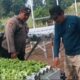 Polsek Rembang Pantau Lahan P2B di Desa Pekoren Dukung Ketahanan Pangan