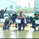 Polres Gresik Bersama Forkopimda dan PT Smelting Tanam 10.000 Mangrove di Randuboto, Jaga Ekosistem Pesisir